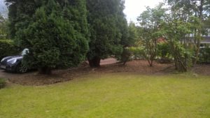 garden maintenance services