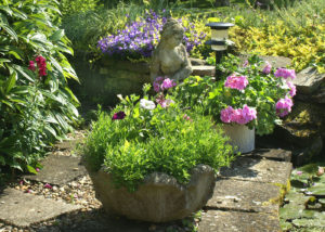 Planters and baskets